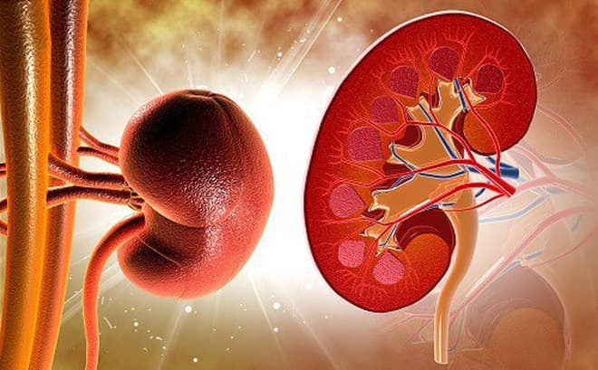 Mất kiềm chế nước tiểu ở thận