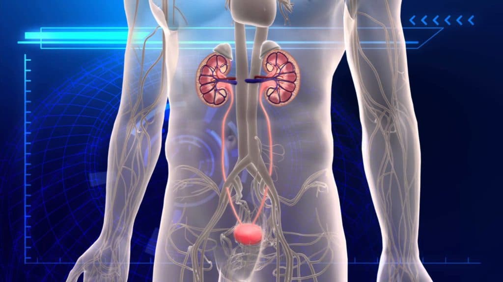 Sỏi niệu quản – Nguy cơ tiềm ẩn gây tử vong nếu không hiểu biết