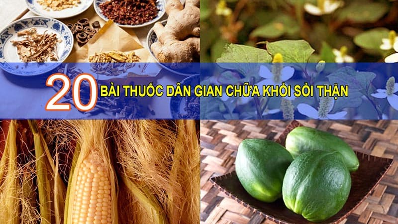 Bài thuốc dan gian chữa sỏi thận hiệu quả